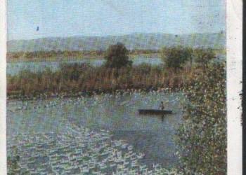 K. Poczt. Rep.Tadżykistan - widoki, Jesień z koresp.  1975