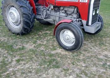 Traktor ciagnik massey ferguson 155