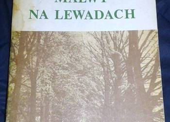 Malwy na lewadach - Barbara Wachowicz
