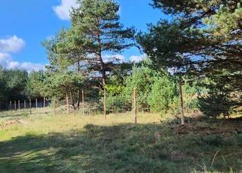 Na sprzedaż atrakcyjna działka budowlana – Ogrodzieniec, ul. Spokojna