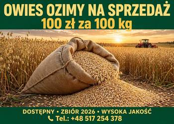Owies ozimy 2026