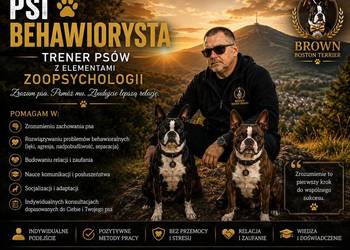 Behawiorysta psi trener z elementami zoopsychologii