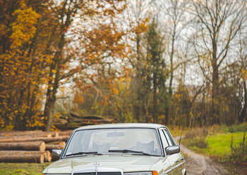 Mercedes w123