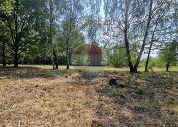 Działka z potencjałem budowlanym 1426 m² - Bielicha k. Radomia