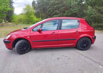 Peugeot 307 1.4b 2005r.