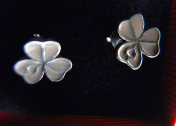 Cudne kolczyki srebro i emalia