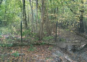 Syndyk sprzeda - Sadek