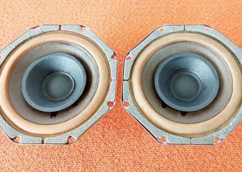 PHILIPS AD5061/T8 Głośniki Szerokopasmowe Fullrange