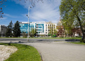 Lokal 171 metrów Kielce