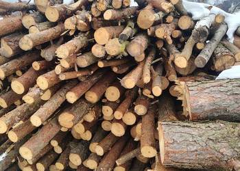 Sprzedam drzewo opałowe sosna