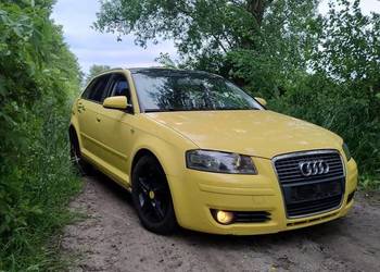 Audi a3 8p 5d panorama zarejestrowane