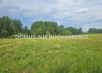 Działka Olszowiec 2751m2