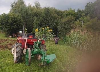 Mały pług dwuskibowy do ciągnik yanmar  ursus  papaj sam