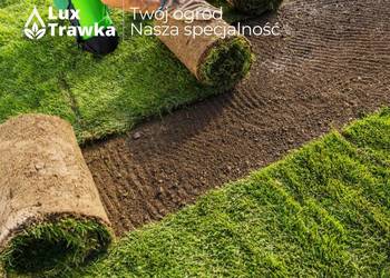 Trawa w rolce | Trawa z rolki | Dostawa MAŁOPOLSKA