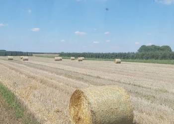 Sprzedam słomę  pszenna , owsiana