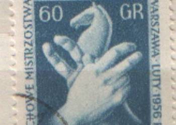 Zn. Fi Wykaz w opisie  kas z 1956
