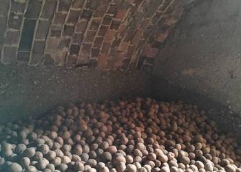 Ziemniaki sadzeniaki