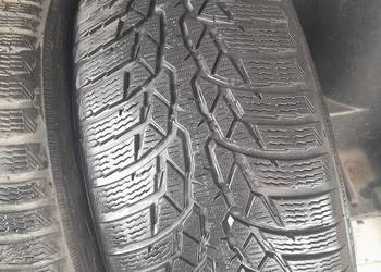 Opony Nokian  225x50 R17