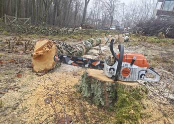 Czyszczenie działki, Rębak,wycinka drzew i krzewów,koszenie trawy