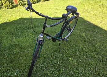 Rower pegasus