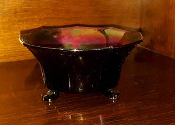 Paterka opalizująca