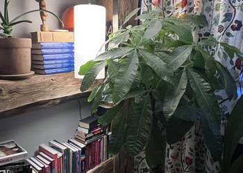 Lampa podłogowa LED