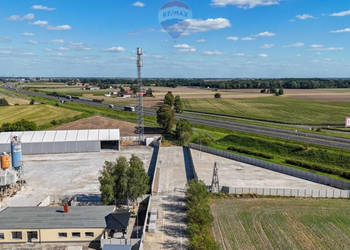 Oferta wynajmu   Nowy Tomyśl