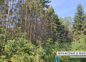 Działka 13000m2 Załuski