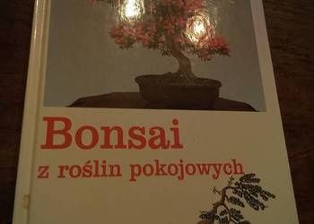 Bonsai z roślin pokojowych