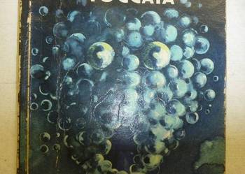 TOCCATA - KRZYSZTOF BORUŃ