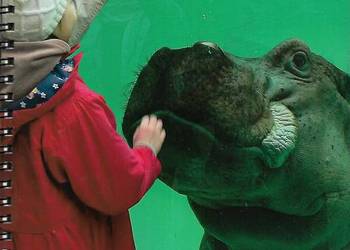 Zwiedzamy warszawskie ZOO.