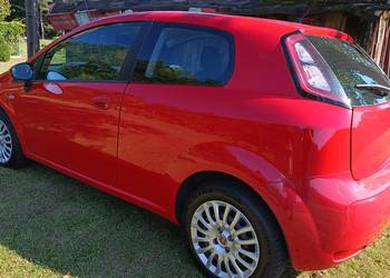 ładny fiat