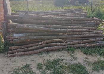 Stemple budowlane drewniane 3,05m