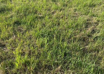 Oferta sprzedaży gruntu 300m2 Wicie