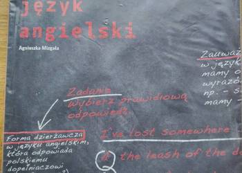 Trener j. angielski Liceum poziom podst. i rozszerzony-Agnieszka Mizgała
