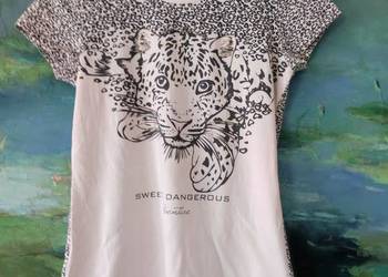 bluzka t-shirt panterka lew tygrys puma kuguar motyw zwierzęcy