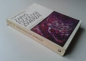 Zarys fizjologii zwierząt - Zygmunt Ewy /fa