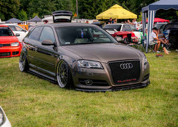 Audi A3 8P 2.0 Quattro Airride maxton 3tlg stance showcar