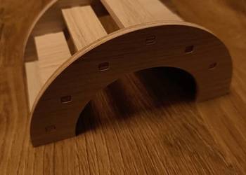 Żeczy dla chomika, albo małej morskiej świnki