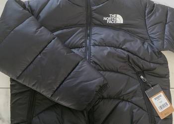 Kurtka męska the North face