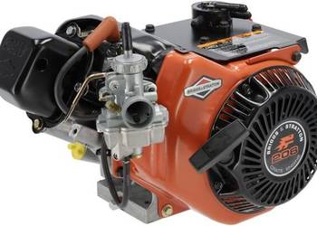 Silnik poziomy 8.8 HP, Karting 206 series, Briggs & Stratton 1243328201