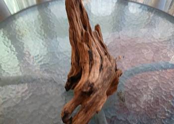 Korzeń do terrarium xl