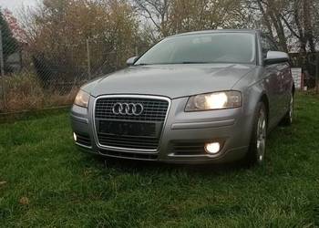 Audi A3 8P SportBeck
