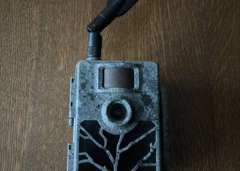 fotopułapka Zeiss 5 kamera leśna myśliwska łowiecka czujnik ruchu wideo