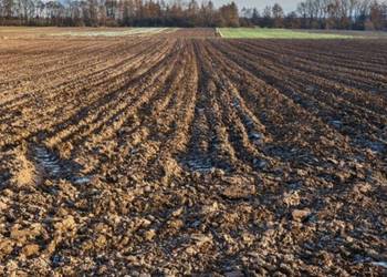 Działka rolna 26h w Ziębicach