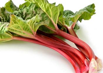 Rabarbar Malinowy Piękne Sadzonki (4 - Letnie)