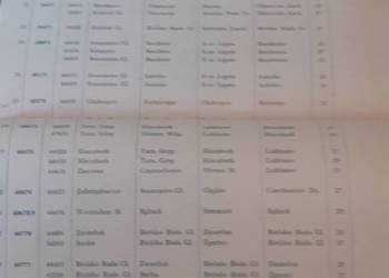 PKP  Plan przewozu drobnych przesyłek PKP  1959 r