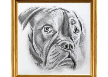 Rysunek portret zwierzaka ołówkiem ze zdjęcia A4, A3, A2, A1