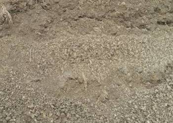 Ziemia, humus dobra jakość