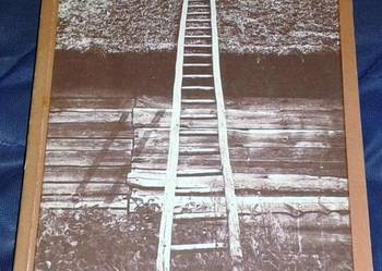 A jak królem, a jak katem będziesz - Tadeusz Nowak